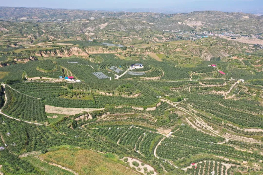 8b900079ff9021a 8b900079ff9021a