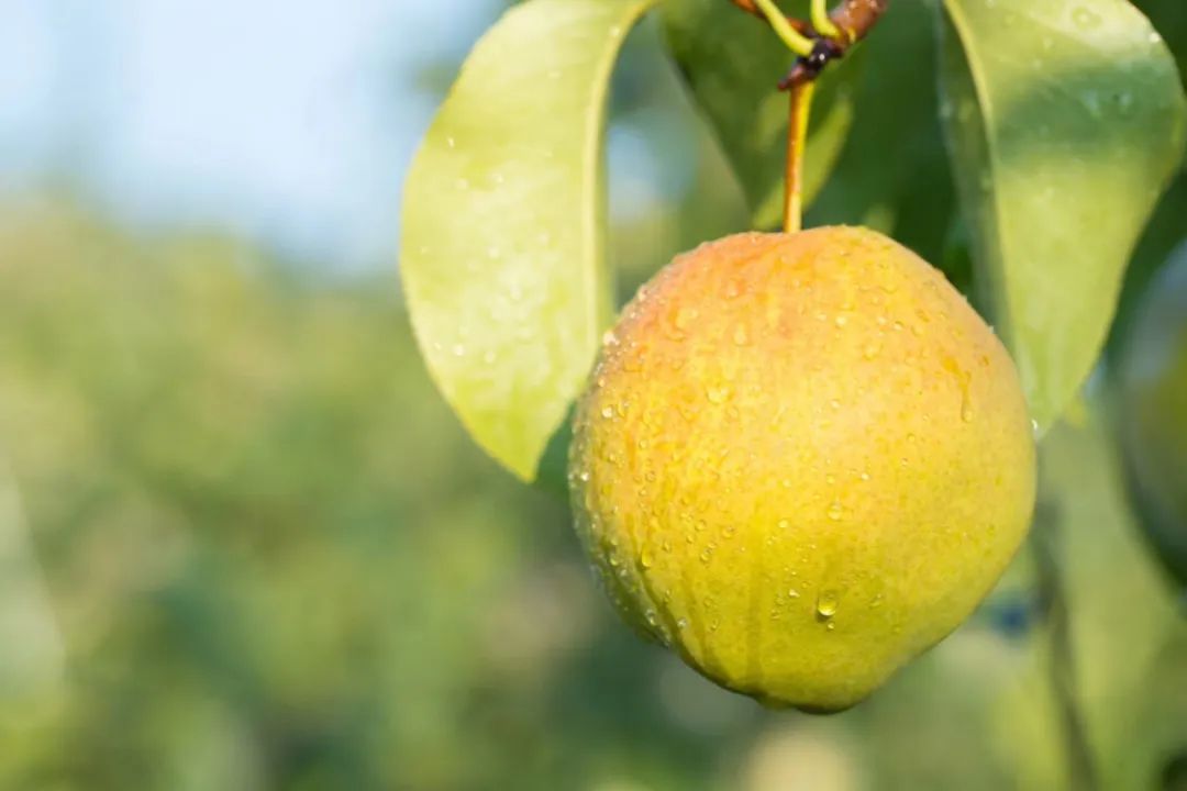 209936c3fb3af6f 209936c3fb3af6f