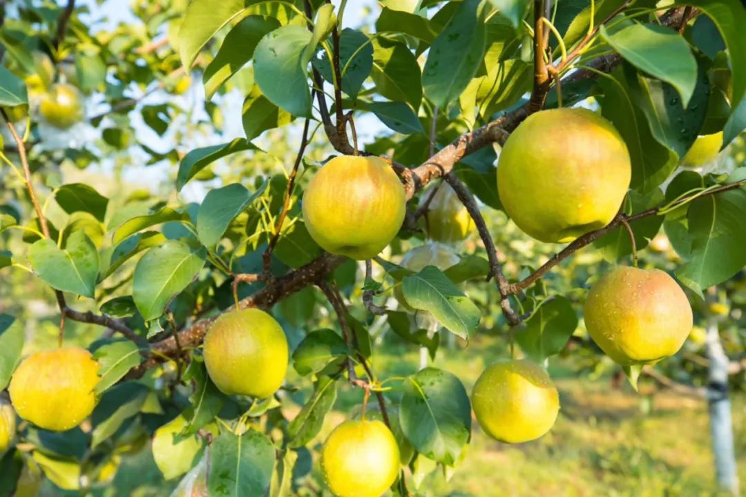 e24757e1f02952a e24757e1f02952a