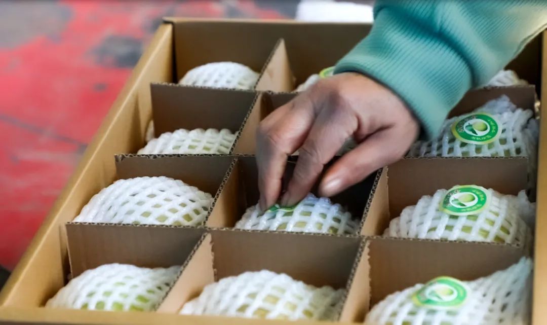 145c905b5739780 145c905b5739780